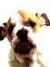677592.gif